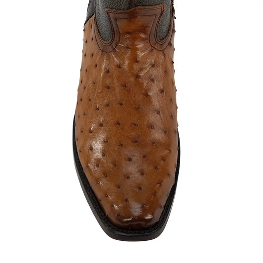 DYLAN AVESTRUZ COGÑAC