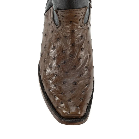 DYLAN AVESTRUZ TABACO