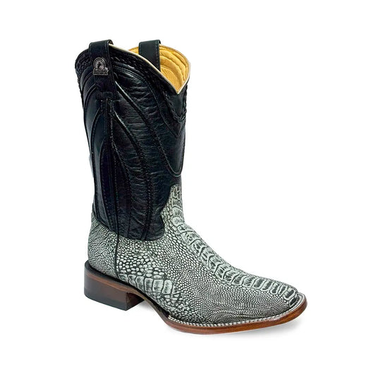 BULL DOG PATA DE AVE GRIS